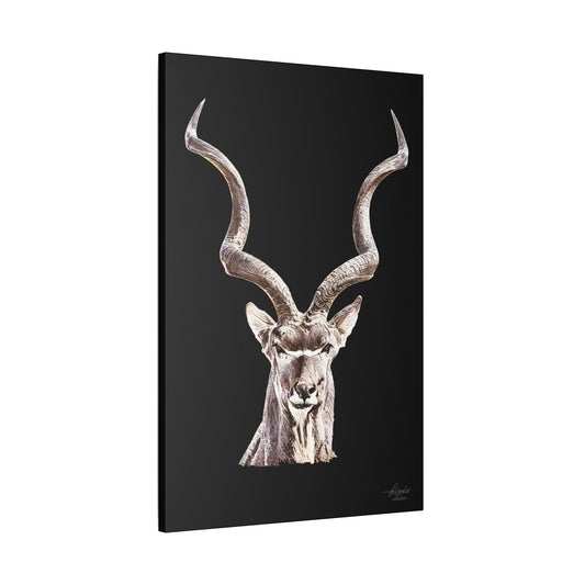 Kudu Satin Stretched Black Canvas Print - HD Printing