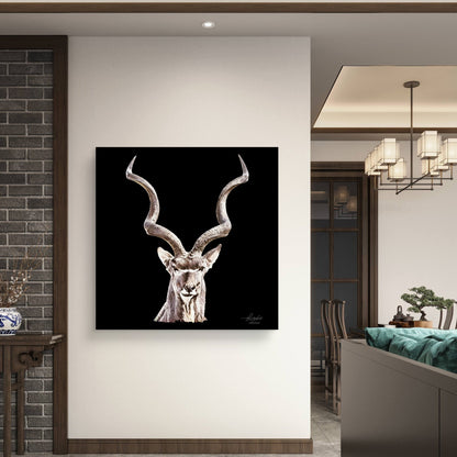 Kudu Satin Stretched Black Canvas Print - HD Printing