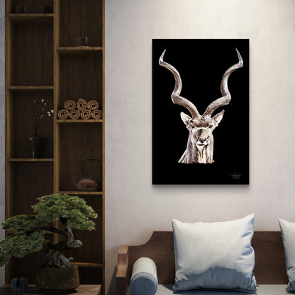 Kudu Satin Stretched Black Canvas Print - HD Printing