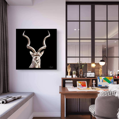 Kudu Satin Stretched Black Canvas Print - HD Printing
