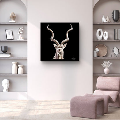 Kudu Satin Stretched Black Canvas Print - HD Printing