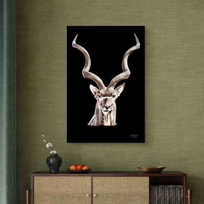 Kudu Satin Stretched Black Canvas Print - HD Printing