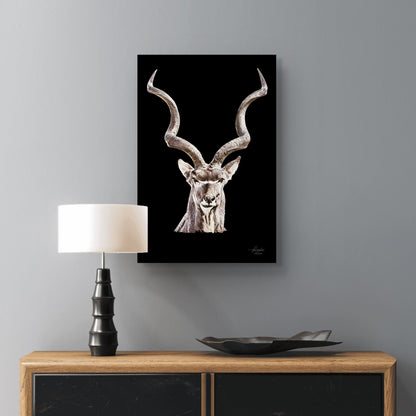 Kudu Satin Stretched Black Canvas Print - HD Printing
