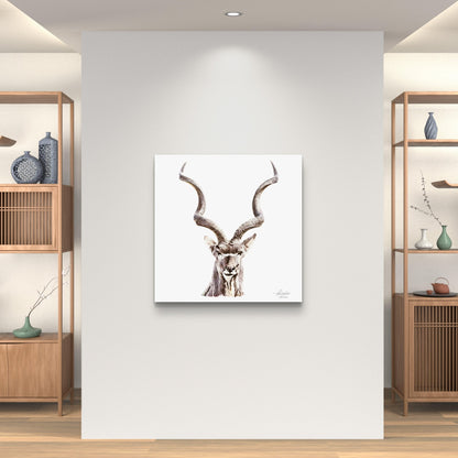 Kudu Satin Stretched Canvas Print - HD Printing