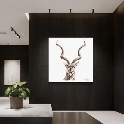 Kudu Satin Stretched Canvas Print - HD Printing