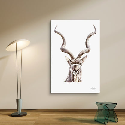Kudu Satin Stretched Canvas Print - HD Printing
