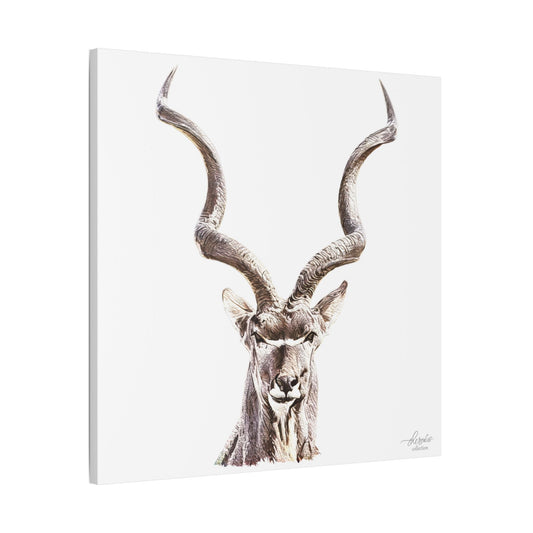 Kudu Satin Stretched Canvas Print - HD Printing