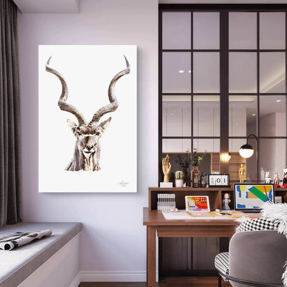 Kudu Satin Stretched Canvas Print - HD Printing