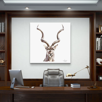 Kudu Satin Stretched Canvas Print - HD Printing