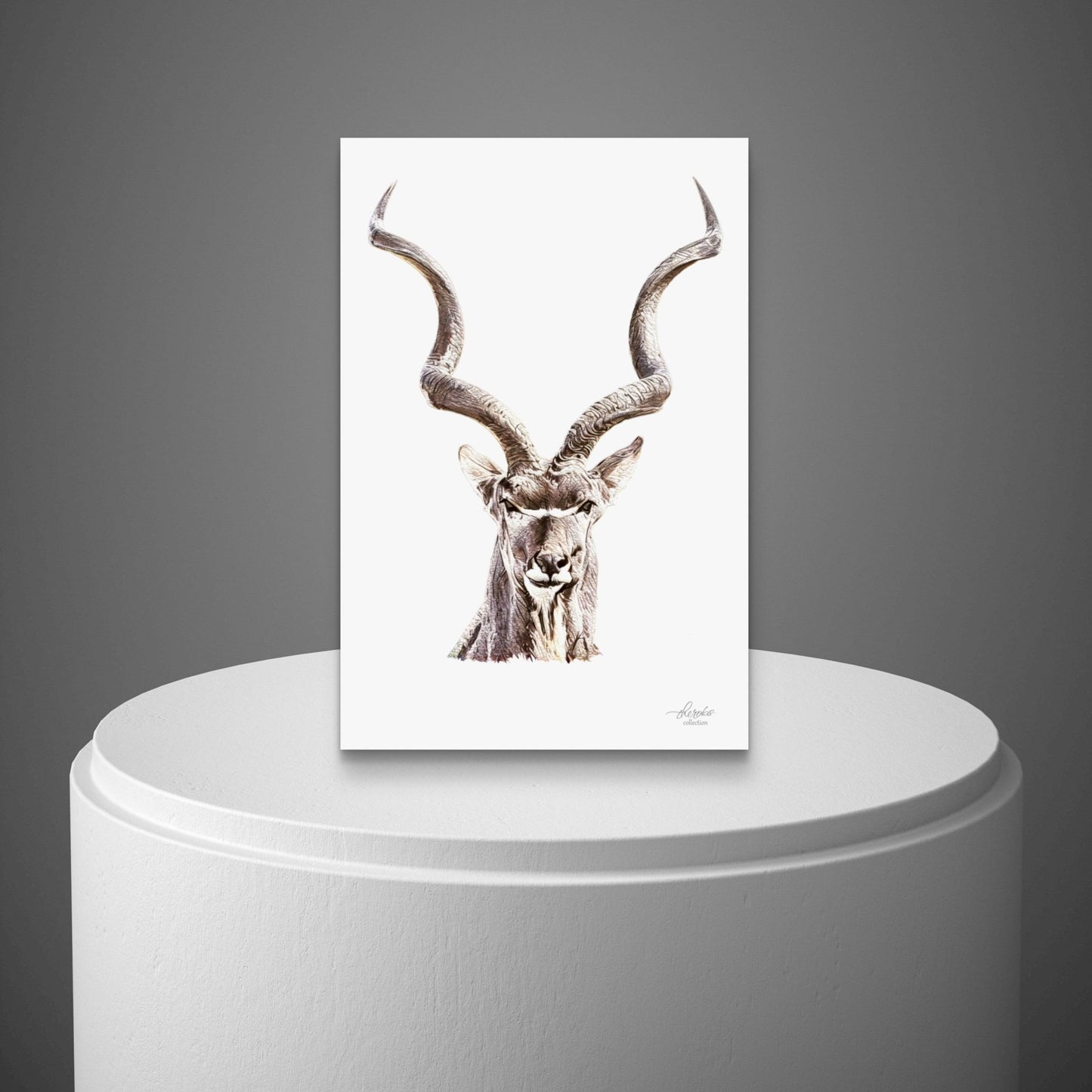 Kudu Satin Stretched Canvas Print - HD Printing