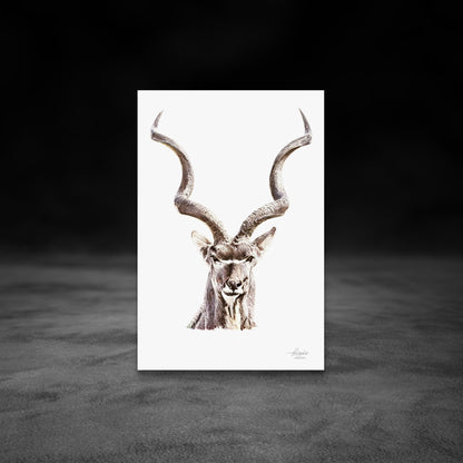 Kudu Satin Stretched Canvas Print - HD Printing