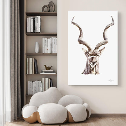 Kudu Satin Stretched Canvas Print - HD Printing