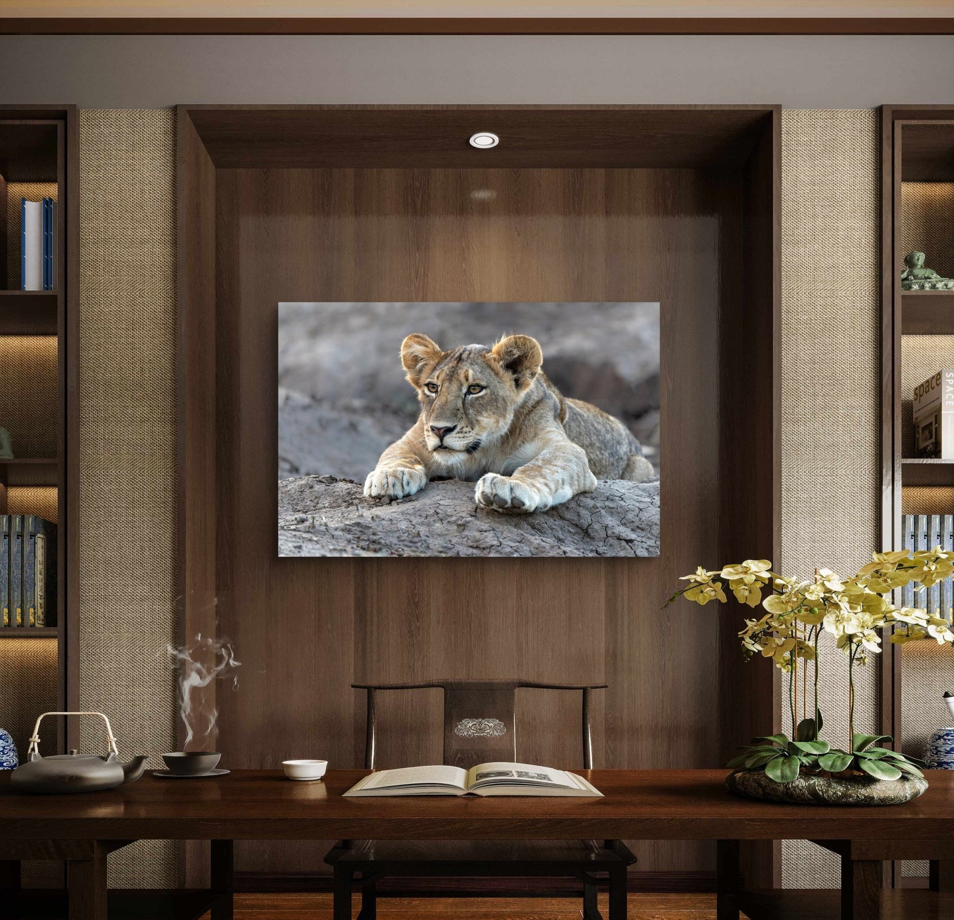 Lion Cub Canvas Print - HD Printing