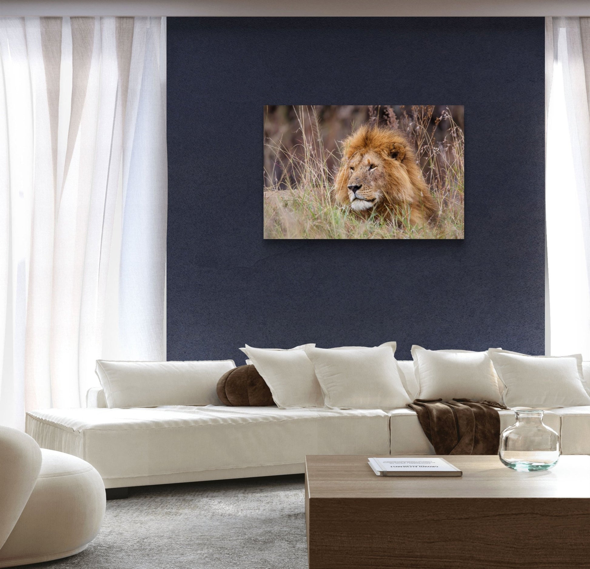 Lion Silk Poster - HD Printing