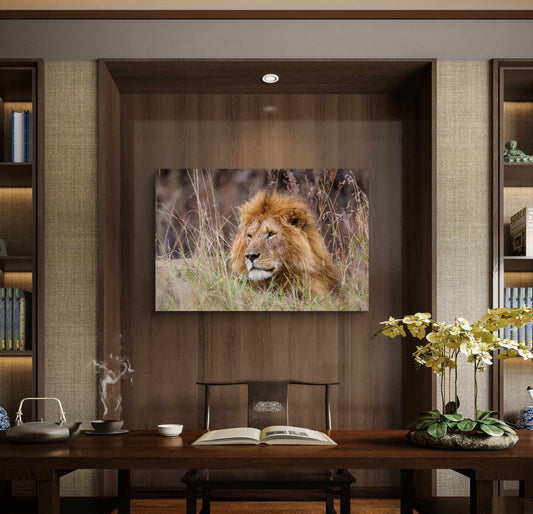 Lion Silk Poster - HD Printing