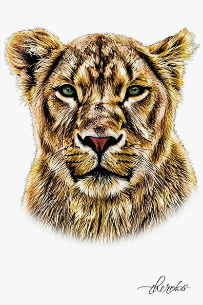 Lioness Canvas Print - HD Printing