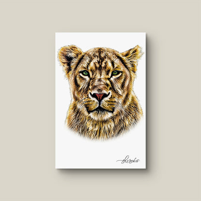 Lioness Canvas Print - HD Printing