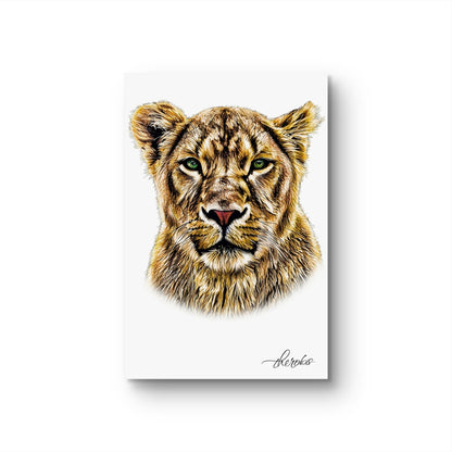 Lioness Fine Art Poster - HD Printing
