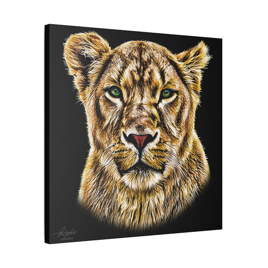 Lioness Satin Stretched Black Canvas Print - HD Printing