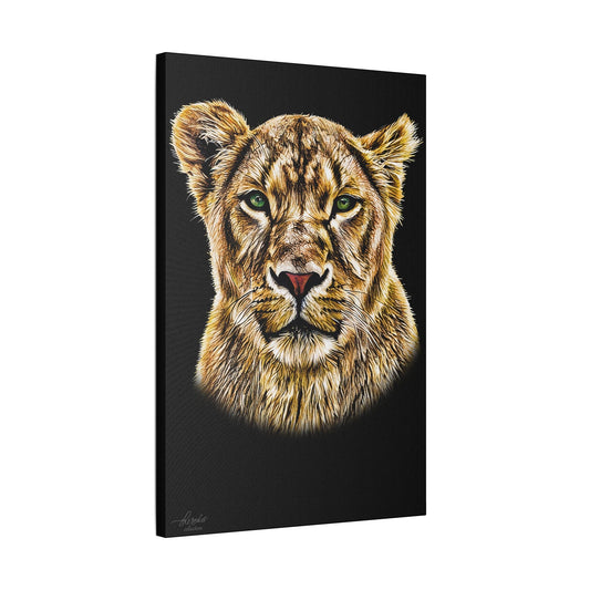 Lioness Satin Stretched Black Canvas Print - HD Printing