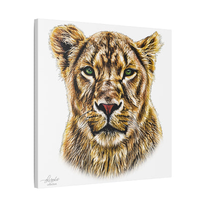 Lioness Satin Stretched Canvas Print - HD Printing