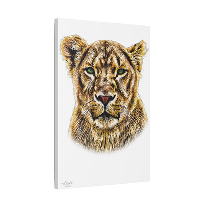 Lioness Satin Stretched Canvas Print - HD Printing