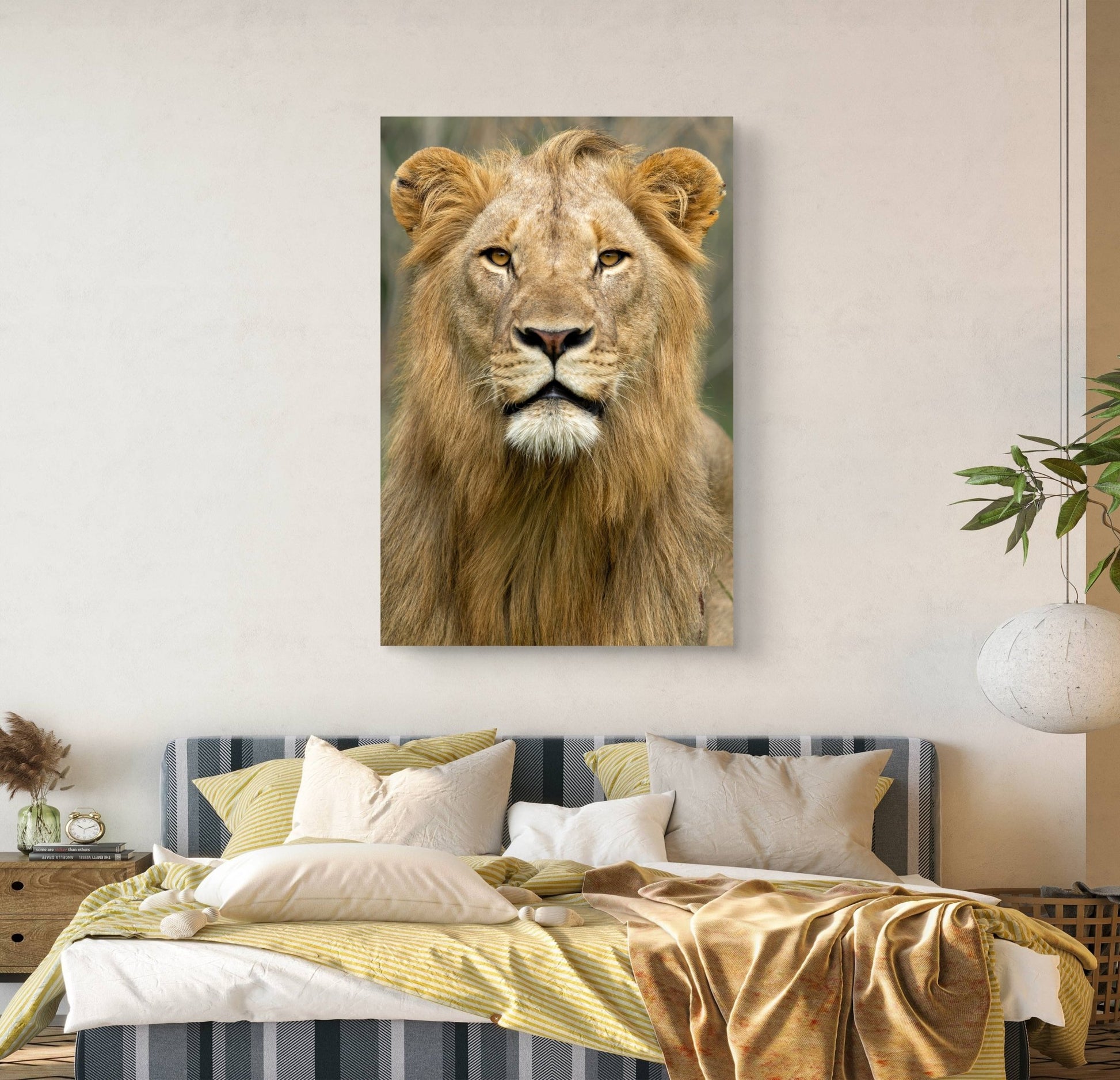 Male Lion Fine Art Poster - HD Printing