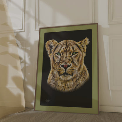 Lioness Satin Stretched Black Canvas Print