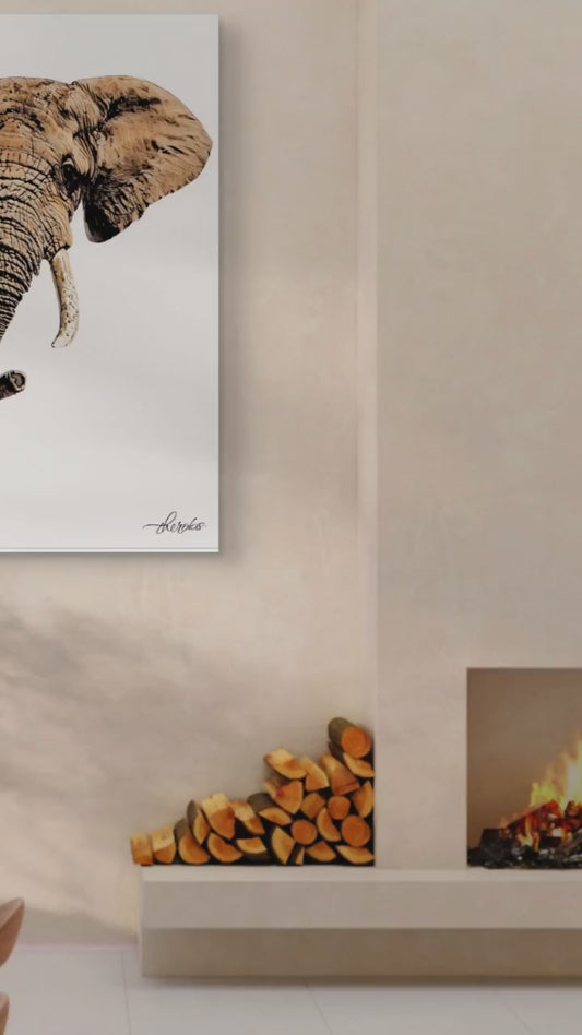 Elephant Satin Stretched Canvas Print