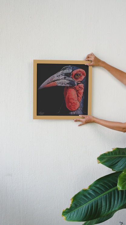 Hornbill Fine Art Giclée Matte Black Poster