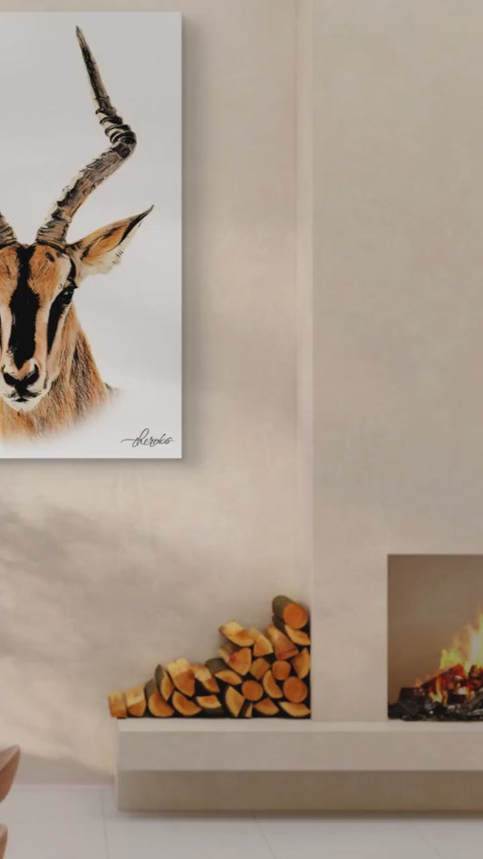 Impala Satin Stretched Canvas Print