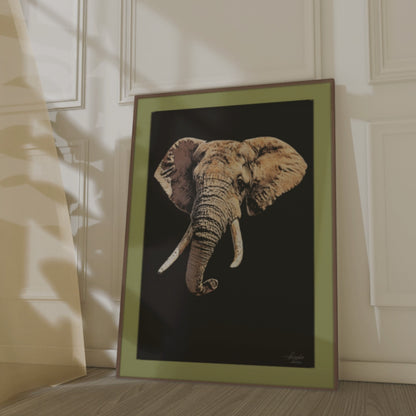 Elephant Indoor & Outdoor HD Black Silk Poster