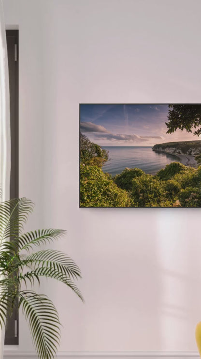Beer Devon Canvas Print