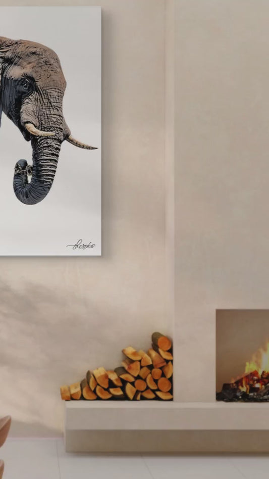 Elephant Satin Stretched Black Canvas Print II