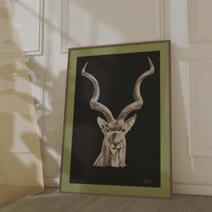 Kudu Indoor & Outdoor HD Black Silk Poster