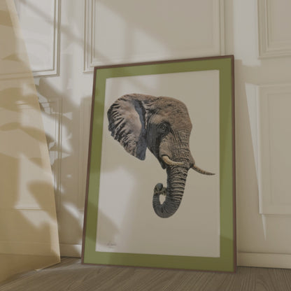 Elephant Indoor & Outdoor HD Silk Poster II