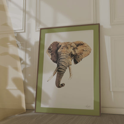 Elephant Indoor & Outdoor HD Silk Poster