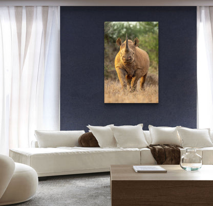 Rhino Fine Art Poster - HD Printing