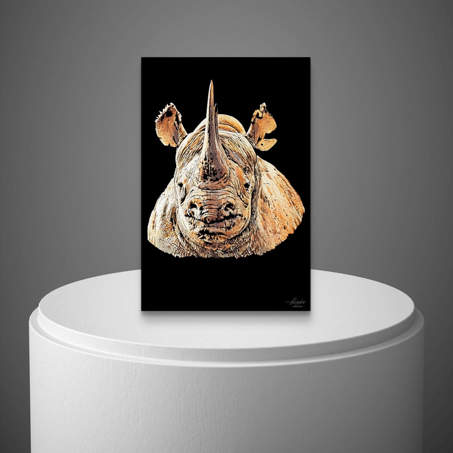 Rhino Satin Stretched Black Canvas Print II - HD Printing