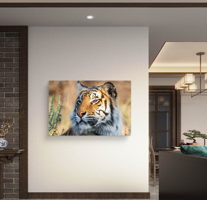 Tiger Silk Poster - HD Printing