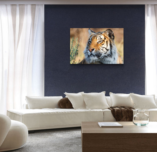 Tiger Silk Poster - HD Printing